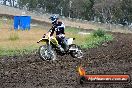 Champions Ride Days MotoX Broadford 24 11 2013 - 6CR_3410