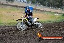 Champions Ride Days MotoX Broadford 24 11 2013 - 6CR_3411