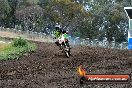 Champions Ride Days MotoX Broadford 24 11 2013 - 6CR_3418