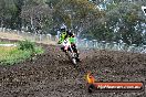 Champions Ride Days MotoX Broadford 24 11 2013 - 6CR_3419
