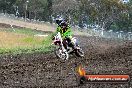 Champions Ride Days MotoX Broadford 24 11 2013 - 6CR_3420