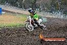 Champions Ride Days MotoX Broadford 24 11 2013 - 6CR_3421