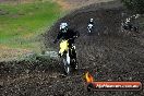 Champions Ride Days MotoX Broadford 24 11 2013 - 6CR_3430
