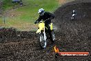 Champions Ride Days MotoX Broadford 24 11 2013 - 6CR_3431