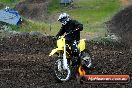 Champions Ride Days MotoX Broadford 24 11 2013 - 6CR_3433