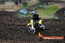 Champions Ride Days MotoX Broadford 24 11 2013 - 6CR_3434