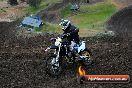 Champions Ride Days MotoX Broadford 24 11 2013 - 6CR_3441