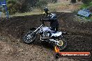 Champions Ride Days MotoX Broadford 24 11 2013 - 6CR_3443
