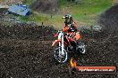 Champions Ride Days MotoX Broadford 24 11 2013 - 6CR_3451