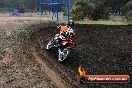 Champions Ride Days MotoX Broadford 24 11 2013 - 6CR_3456