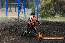 Champions Ride Days MotoX Broadford 24 11 2013 - 6CR_3460