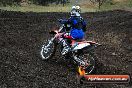 Champions Ride Days MotoX Broadford 24 11 2013 - 6CR_3479