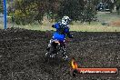 Champions Ride Days MotoX Broadford 24 11 2013 - 6CR_3482