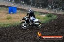 Champions Ride Days MotoX Broadford 24 11 2013 - 6CR_3484