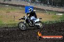 Champions Ride Days MotoX Broadford 24 11 2013 - 6CR_3485