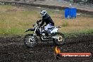 Champions Ride Days MotoX Broadford 24 11 2013 - 6CR_3486