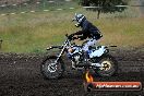 Champions Ride Days MotoX Broadford 24 11 2013 - 6CR_3489