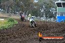 Champions Ride Days MotoX Broadford 24 11 2013 - 6CR_3490
