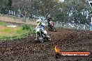 Champions Ride Days MotoX Broadford 24 11 2013 - 6CR_3492