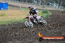 Champions Ride Days MotoX Broadford 24 11 2013 - 6CR_3498