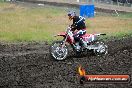 Champions Ride Days MotoX Broadford 24 11 2013 - 6CR_3500