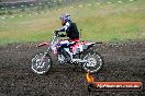 Champions Ride Days MotoX Broadford 24 11 2013 - 6CR_3503