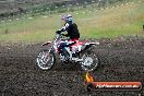 Champions Ride Days MotoX Broadford 24 11 2013 - 6CR_3504