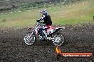 Champions Ride Days MotoX Broadford 24 11 2013 - 6CR_3504