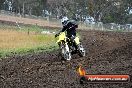 Champions Ride Days MotoX Broadford 24 11 2013 - 6CR_3508