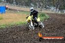 Champions Ride Days MotoX Broadford 24 11 2013 - 6CR_3509
