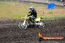 Champions Ride Days MotoX Broadford 24 11 2013 - 6CR_3511