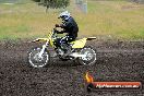 Champions Ride Days MotoX Broadford 24 11 2013 - 6CR_3513