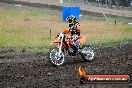 Champions Ride Days MotoX Broadford 24 11 2013 - 6CR_3519