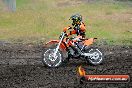 Champions Ride Days MotoX Broadford 24 11 2013 - 6CR_3521