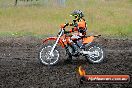 Champions Ride Days MotoX Broadford 24 11 2013 - 6CR_3522