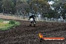 Champions Ride Days MotoX Broadford 24 11 2013 - 6CR_3533