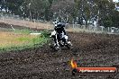 Champions Ride Days MotoX Broadford 24 11 2013 - 6CR_3535