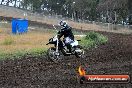 Champions Ride Days MotoX Broadford 24 11 2013 - 6CR_3536