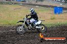 Champions Ride Days MotoX Broadford 24 11 2013 - 6CR_3538