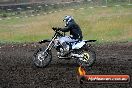 Champions Ride Days MotoX Broadford 24 11 2013 - 6CR_3542