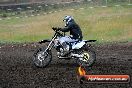 Champions Ride Days MotoX Broadford 24 11 2013 - 6CR_3542
