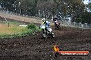 Champions Ride Days MotoX Broadford 24 11 2013 - 6CR_3545