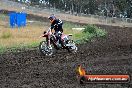 Champions Ride Days MotoX Broadford 24 11 2013 - 6CR_3551