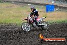 Champions Ride Days MotoX Broadford 24 11 2013 - 6CR_3553