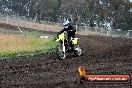 Champions Ride Days MotoX Broadford 24 11 2013 - 6CR_3559