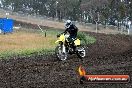 Champions Ride Days MotoX Broadford 24 11 2013 - 6CR_3560