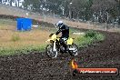 Champions Ride Days MotoX Broadford 24 11 2013 - 6CR_3561