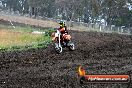 Champions Ride Days MotoX Broadford 24 11 2013 - 6CR_3568
