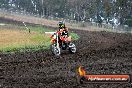 Champions Ride Days MotoX Broadford 24 11 2013 - 6CR_3569