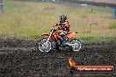 Champions Ride Days MotoX Broadford 24 11 2013 - 6CR_3574